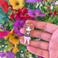 ChibixDoll 8th Edition In-Hands Extras